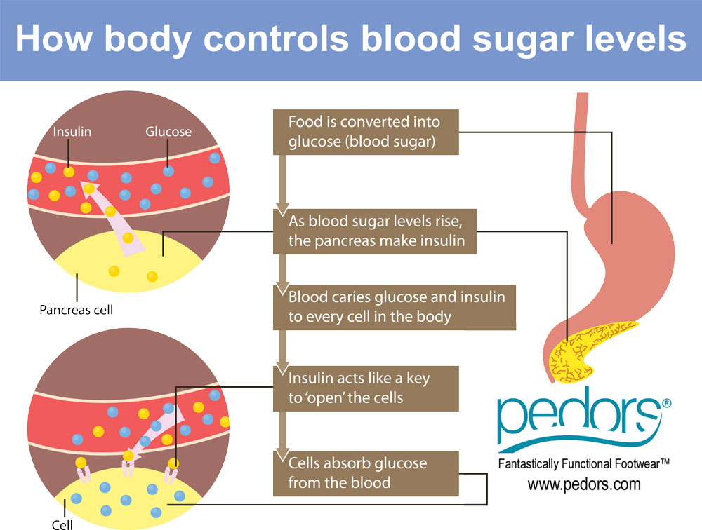 Understanding Blood Sugar Levels And Diabetes DiabetesWalls